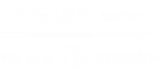 transdev logo